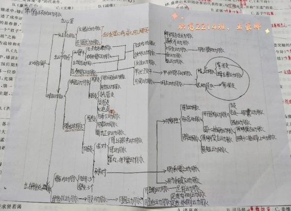 学生作业的创意宝藏 | 规范书写展风采 墨香四溢润校园